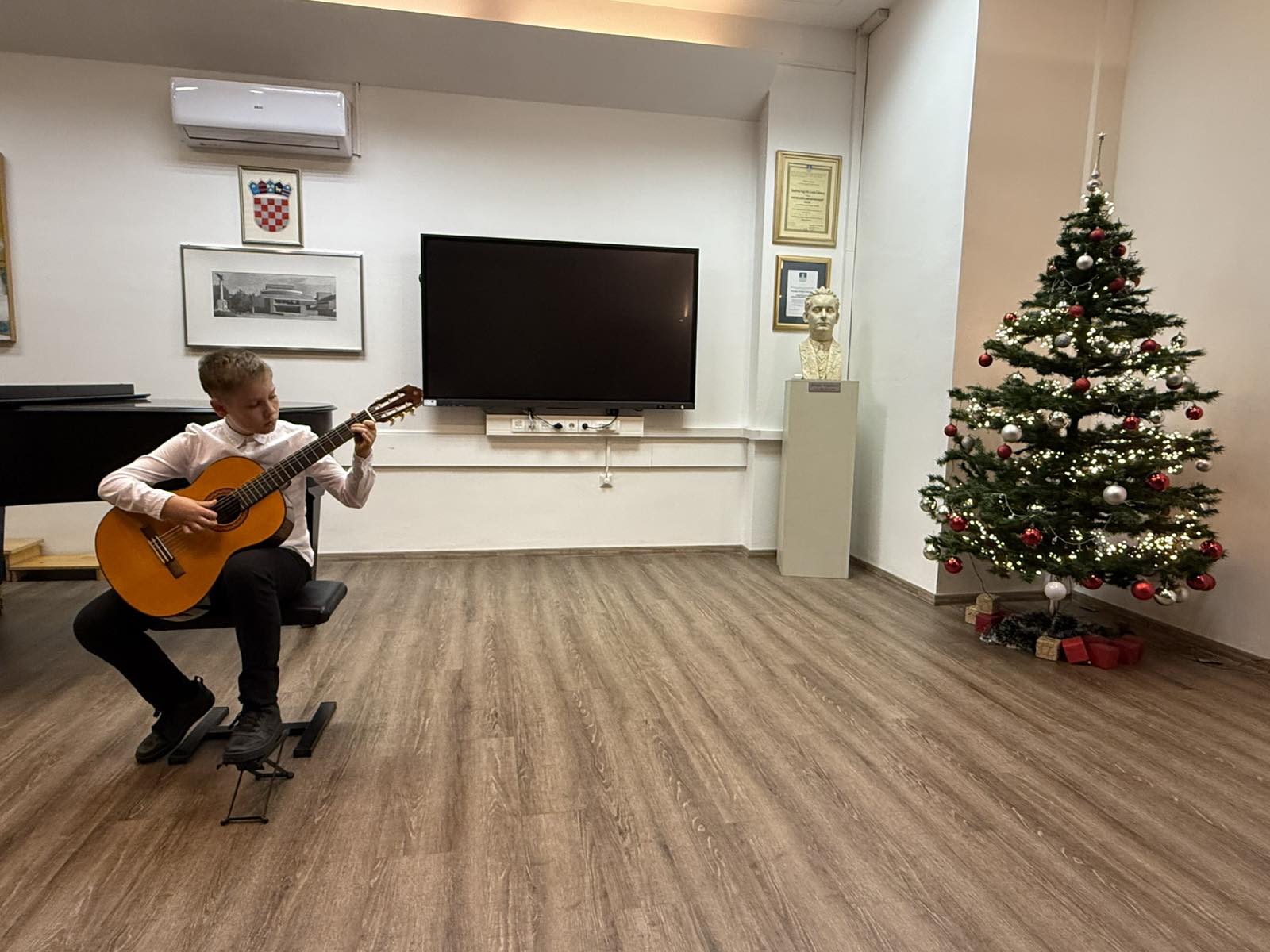 Odjel za žičane instrumente (18) Odjel za žičane instrumente (18)