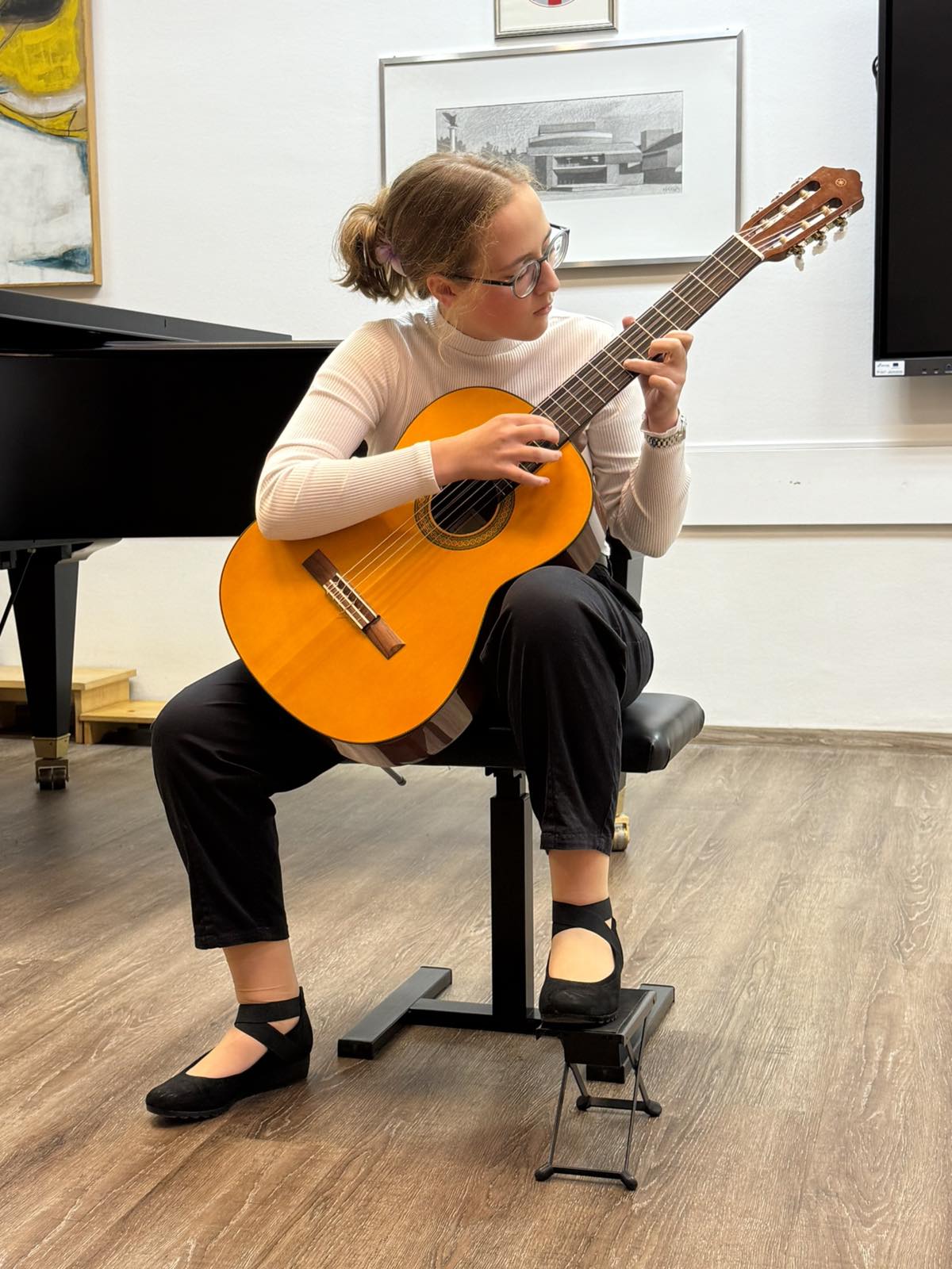 Odjel za žičane instrumente (19) Odjel za žičane instrumente (19)