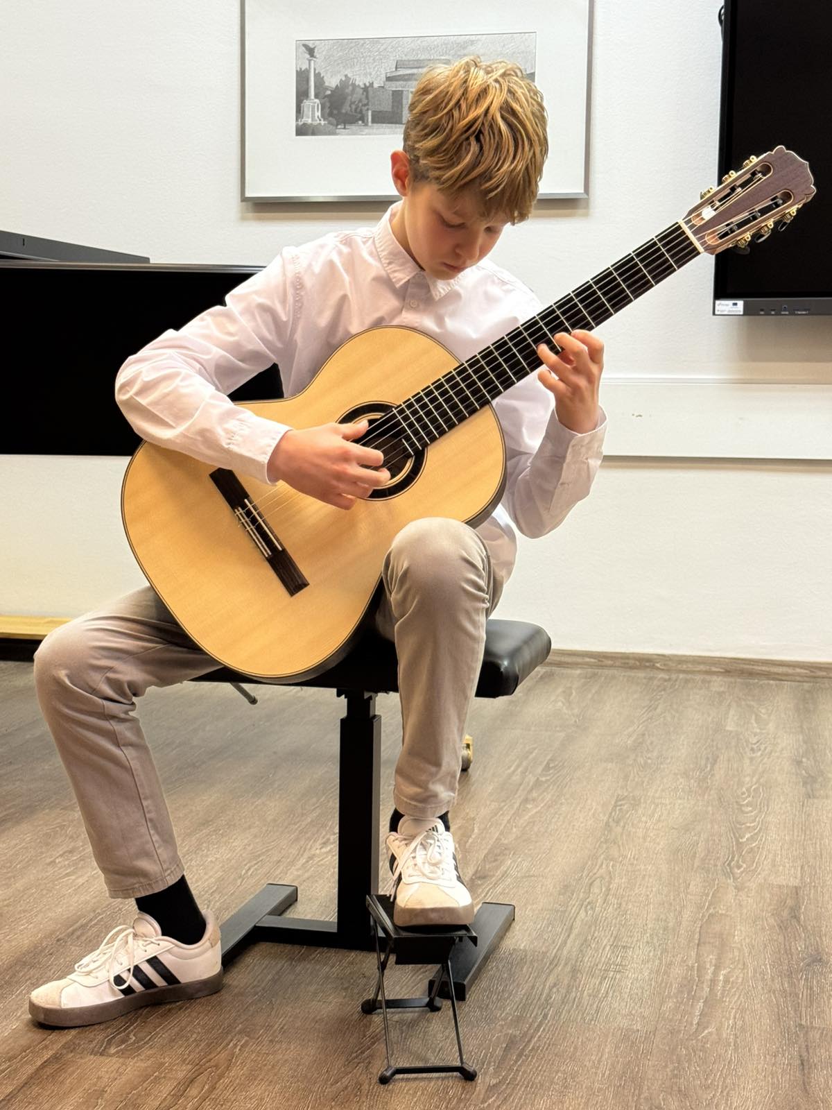 Odjel za žičane instrumente (21) Odjel za žičane instrumente (21)