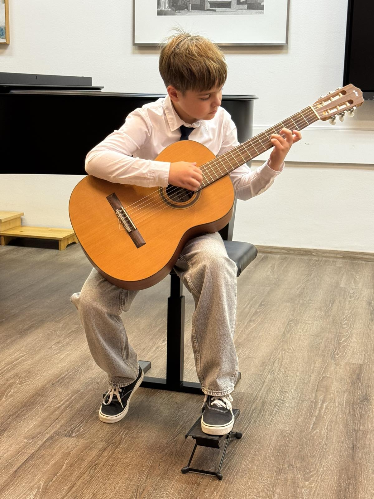 Odjel za žičane instrumente (8) Odjel za žičane instrumente (8)