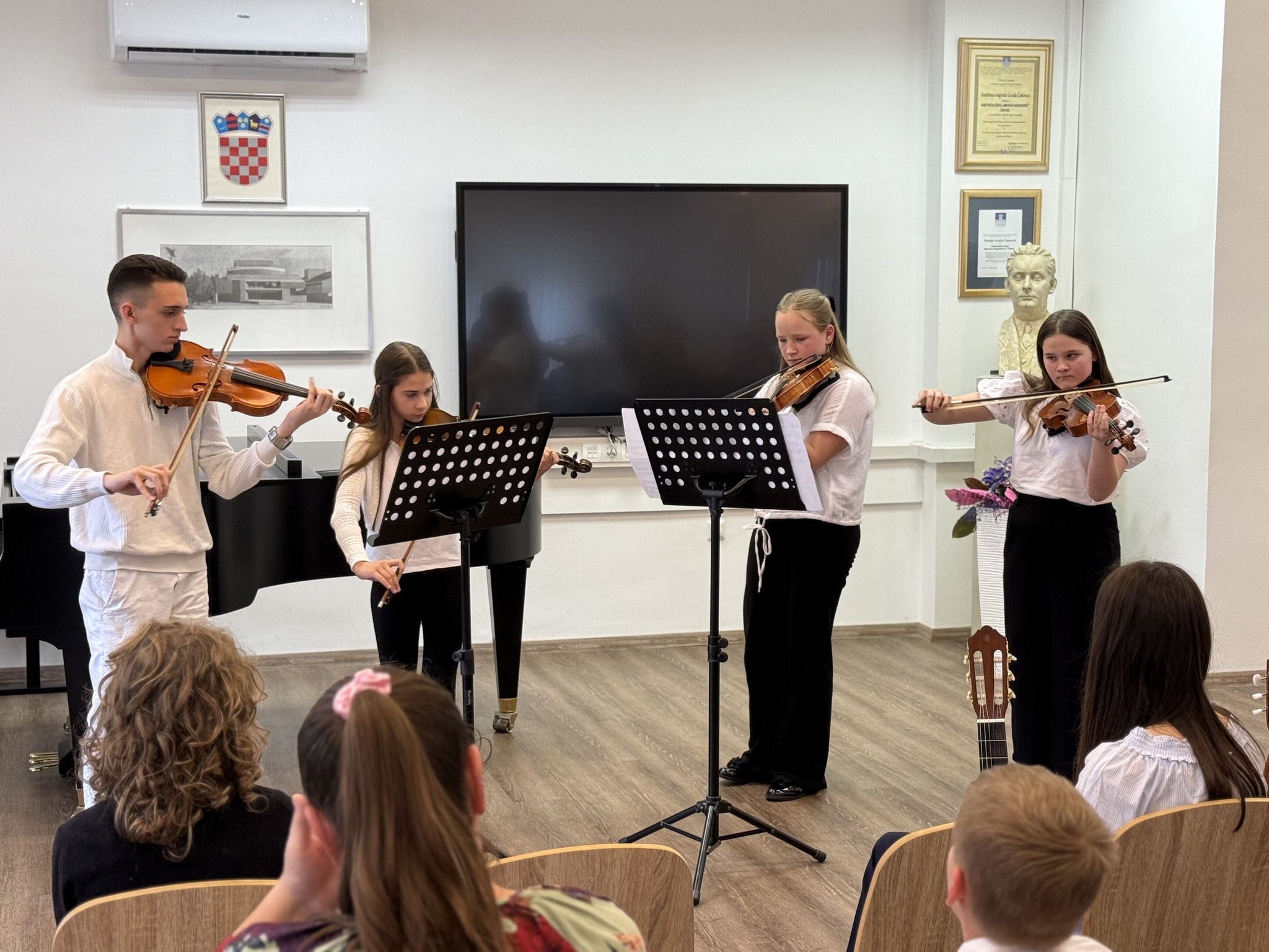 Odjel žičanih instrumenata (2)