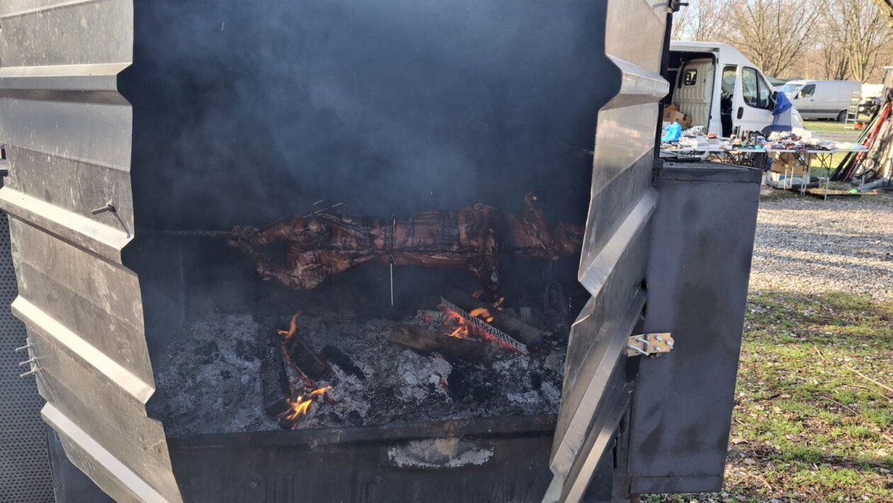 Odojak, sajam (3) Odojak, sajam (3)