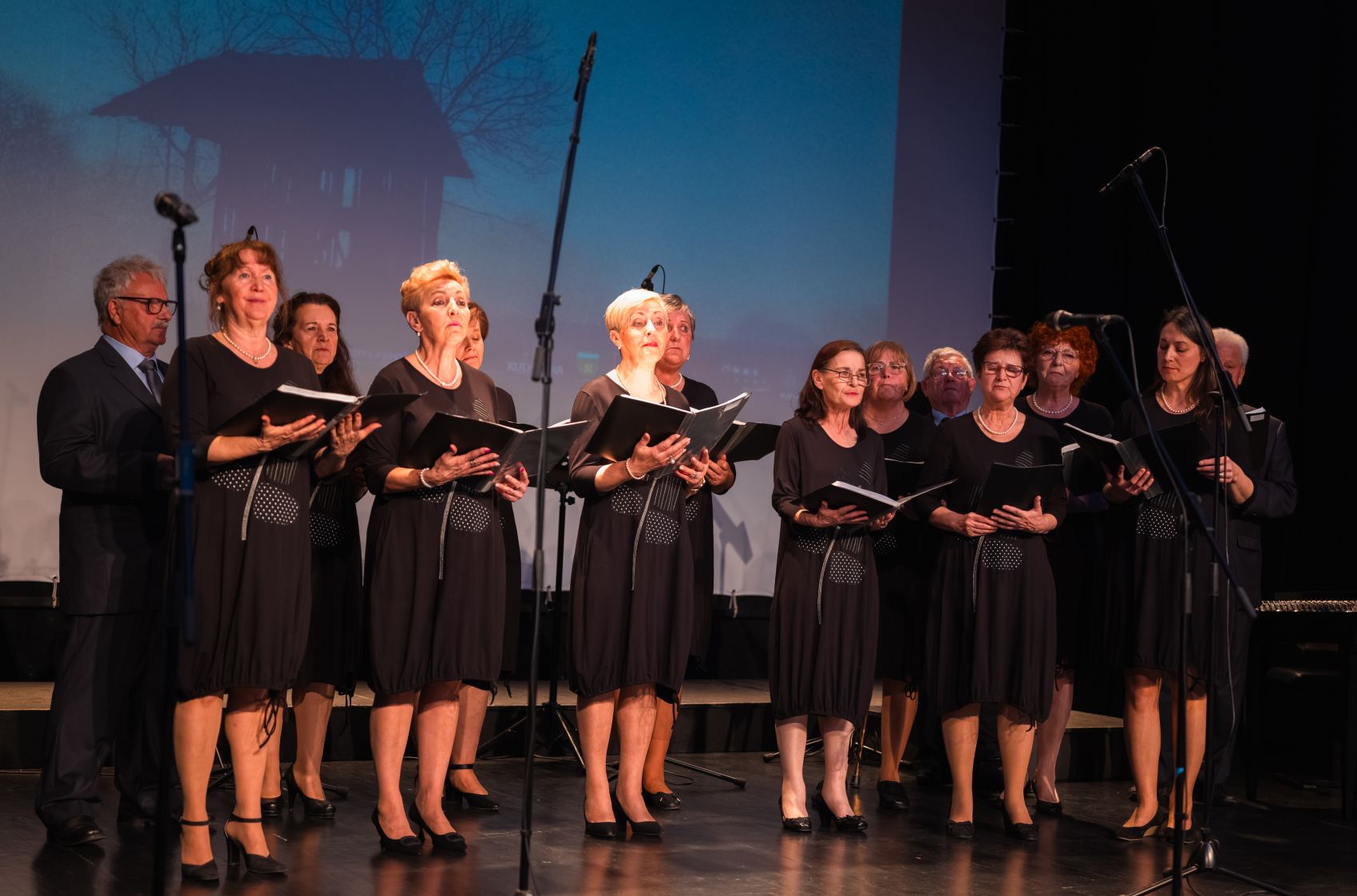 Održana predsmotra Međimurske popevke u Murskom Središću (5) Održana predsmotra Međimurske popevke u Murskom Središću (5)