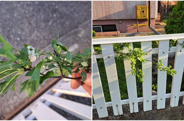 Ograda Sveti Juraj Draškovec naslovna