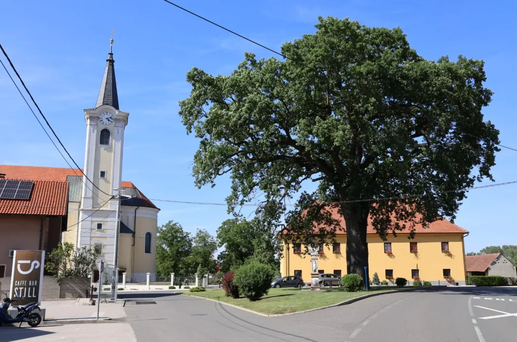 DONJI VIDOVEC Ljukačevo f Kalanici donosi jesensko druženje uz pjesmu ...