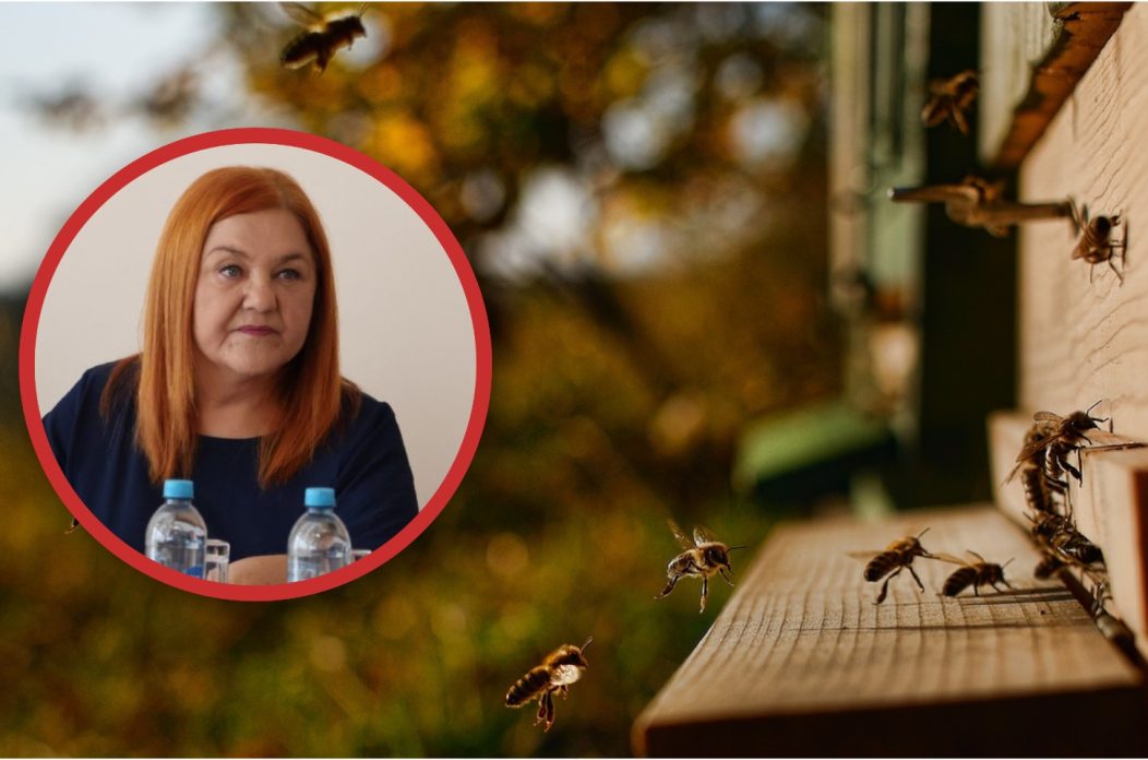 Općina Sveta Marija Potpora pčelarima