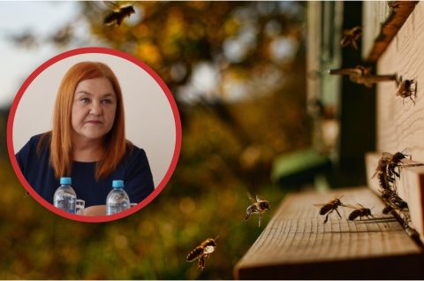 Općina Sveta Marija Potpora pčelarima Općina Sveta Marija Potpora pčelarima