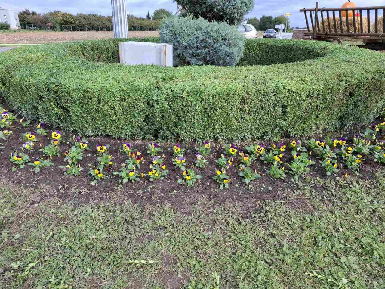 Općina Sveti Martin -uljepšavanje 1