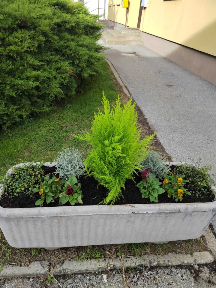 Općina Sveti Martin -uljepšavanje 9