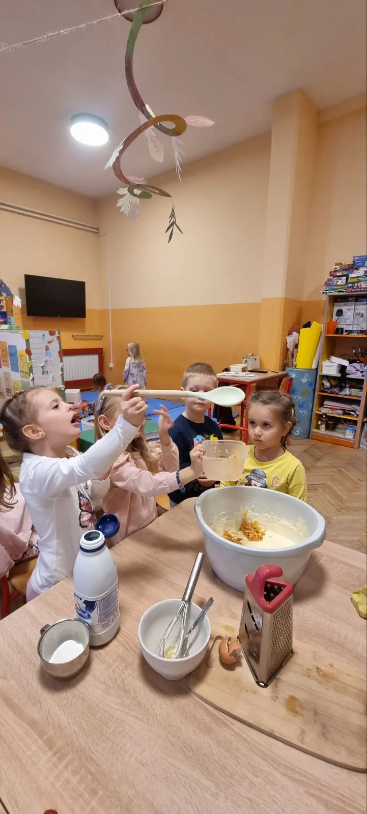 Općina strahoninec (15)