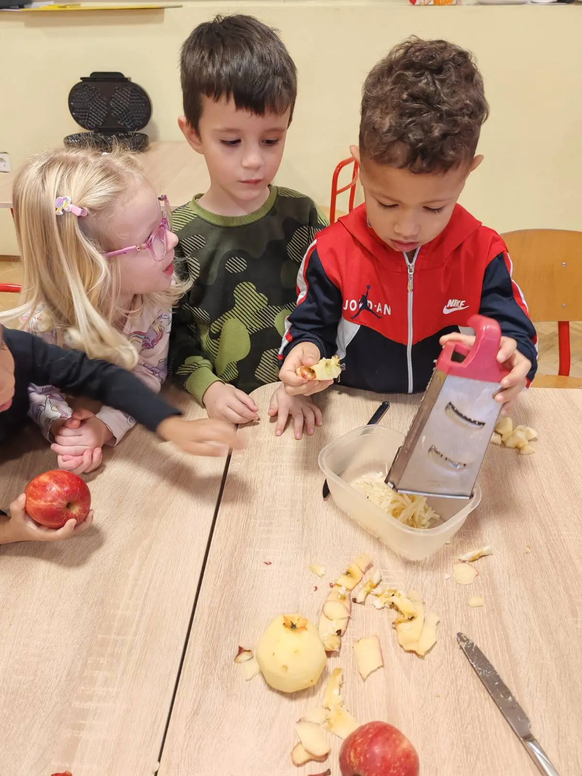 Općina strahoninec (4)