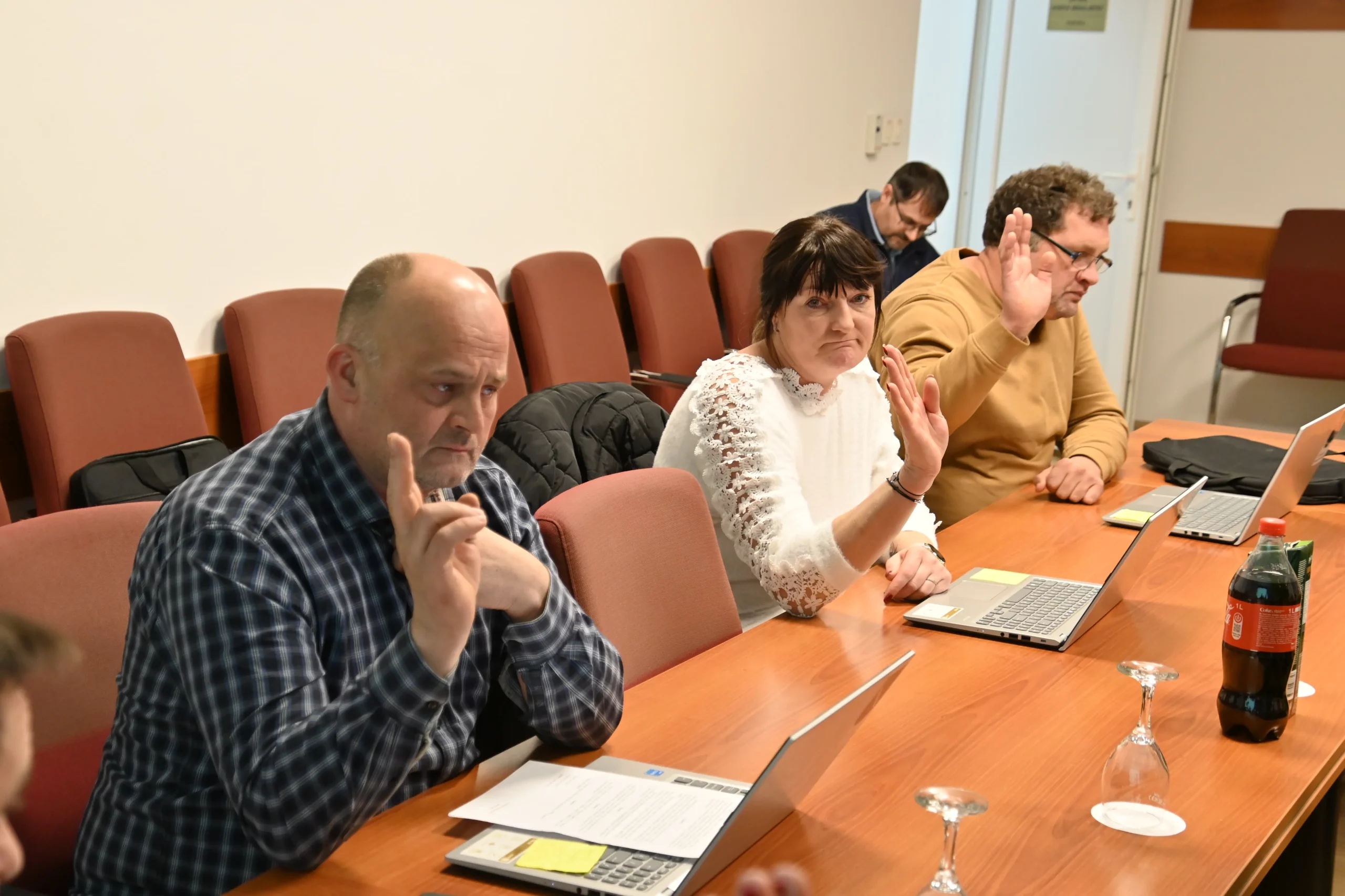 Općinsko vijeće Gornji Mihaljevec LM (7)