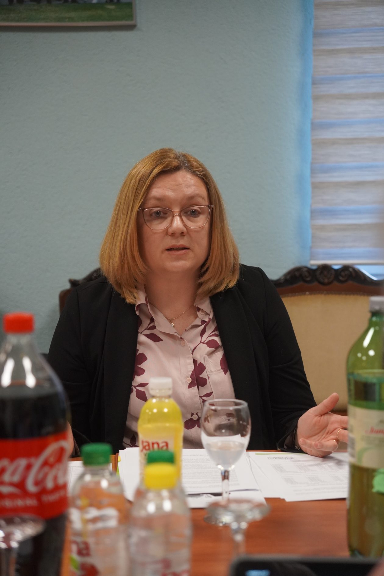 Općinsko vijeće Orehovica Lidija Miše Jalšovec (21)