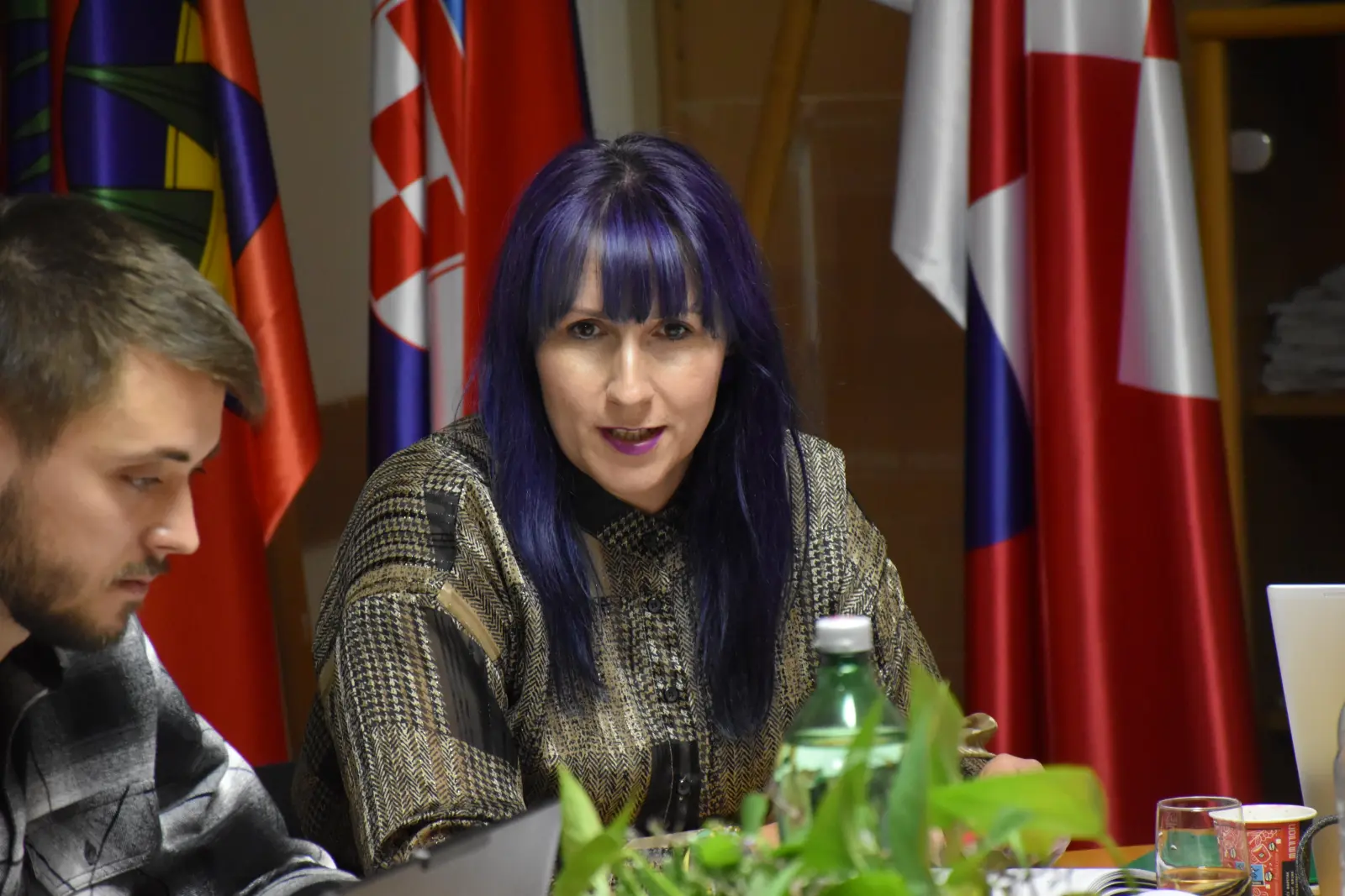 Općinsko vijeće Pribislavec 29.9.2025 (16) Ivana Lesjak