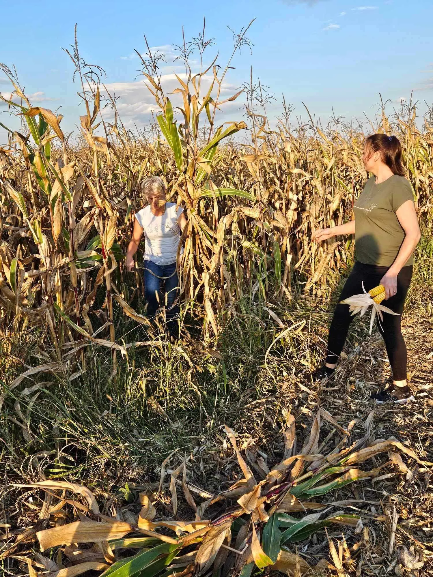 Oporovec Jesenski ugođaj 2024 (13)