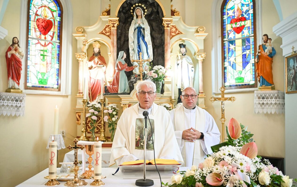 studio VIPRO studio VIPRO