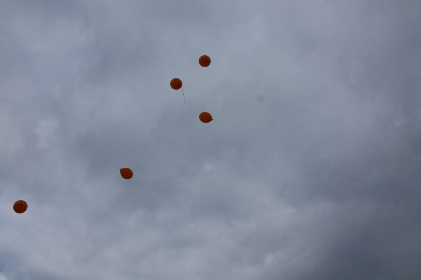 Orange the world marina prelog 2025 (68)