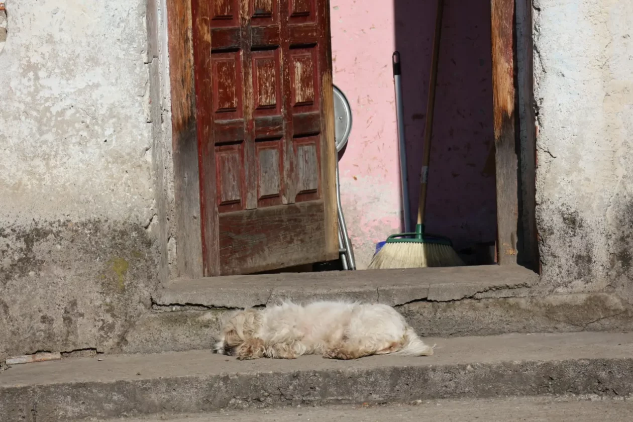 Orehovica, Kruno Vuk, Romsko naselje (20) Orehovica, Kruno Vuk, Romsko naselje (20)