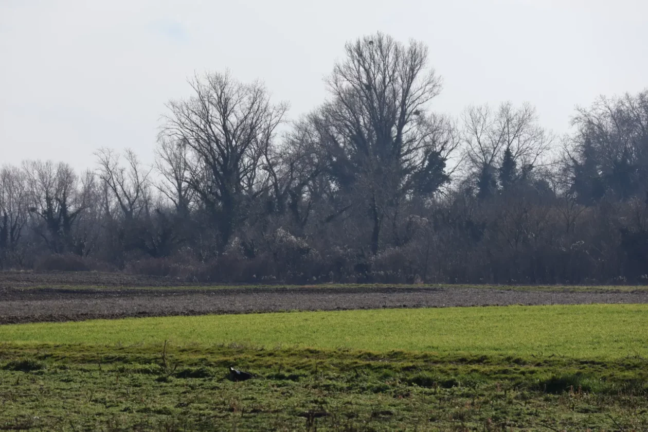 Orehovica, Kruno Vuk, Romsko naselje (23) Orehovica, Kruno Vuk, Romsko naselje (23)