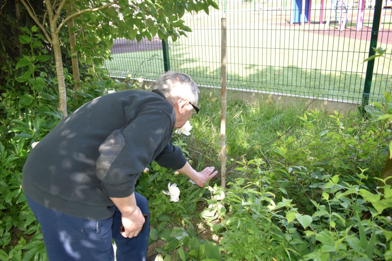 Orehovica, igralište, huligani (1)