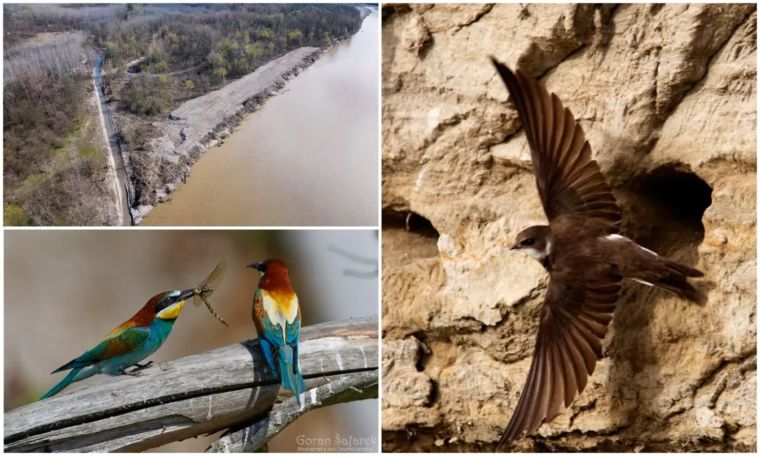 Otvoreni obnovljeni rukavci Drave Otvoreni obnovljeni rukavci Drave