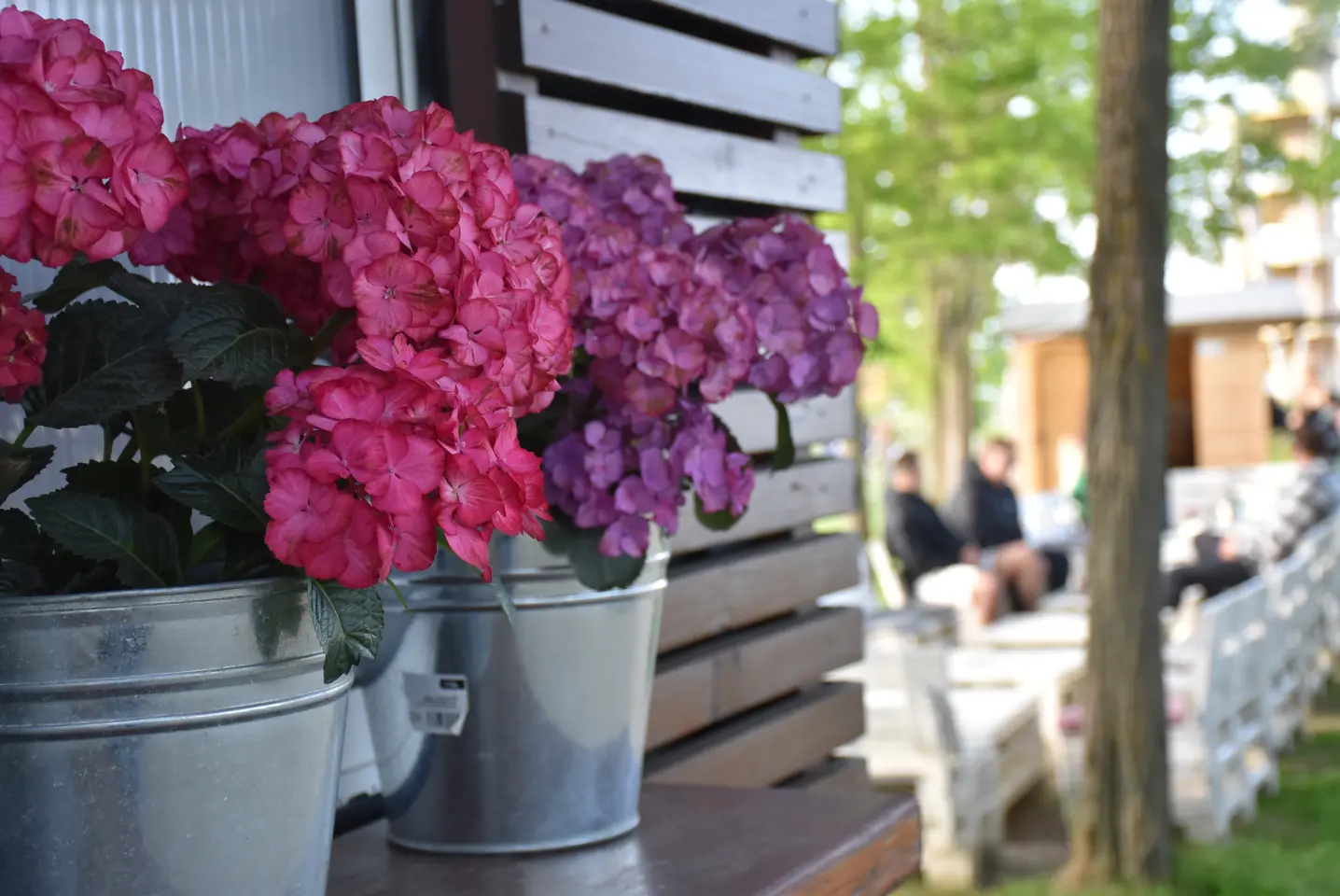 Otvoreni podrumi, Urbanovo, 24.5.2025 (44)