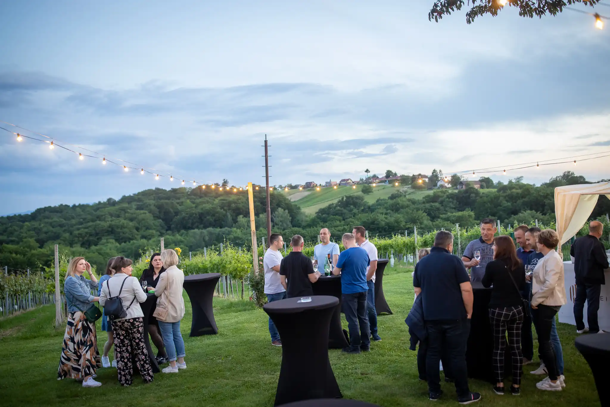 Otvoreni podrumi urbanovo 2024 (1) Otvoreni podrumi urbanovo 2024 (1)