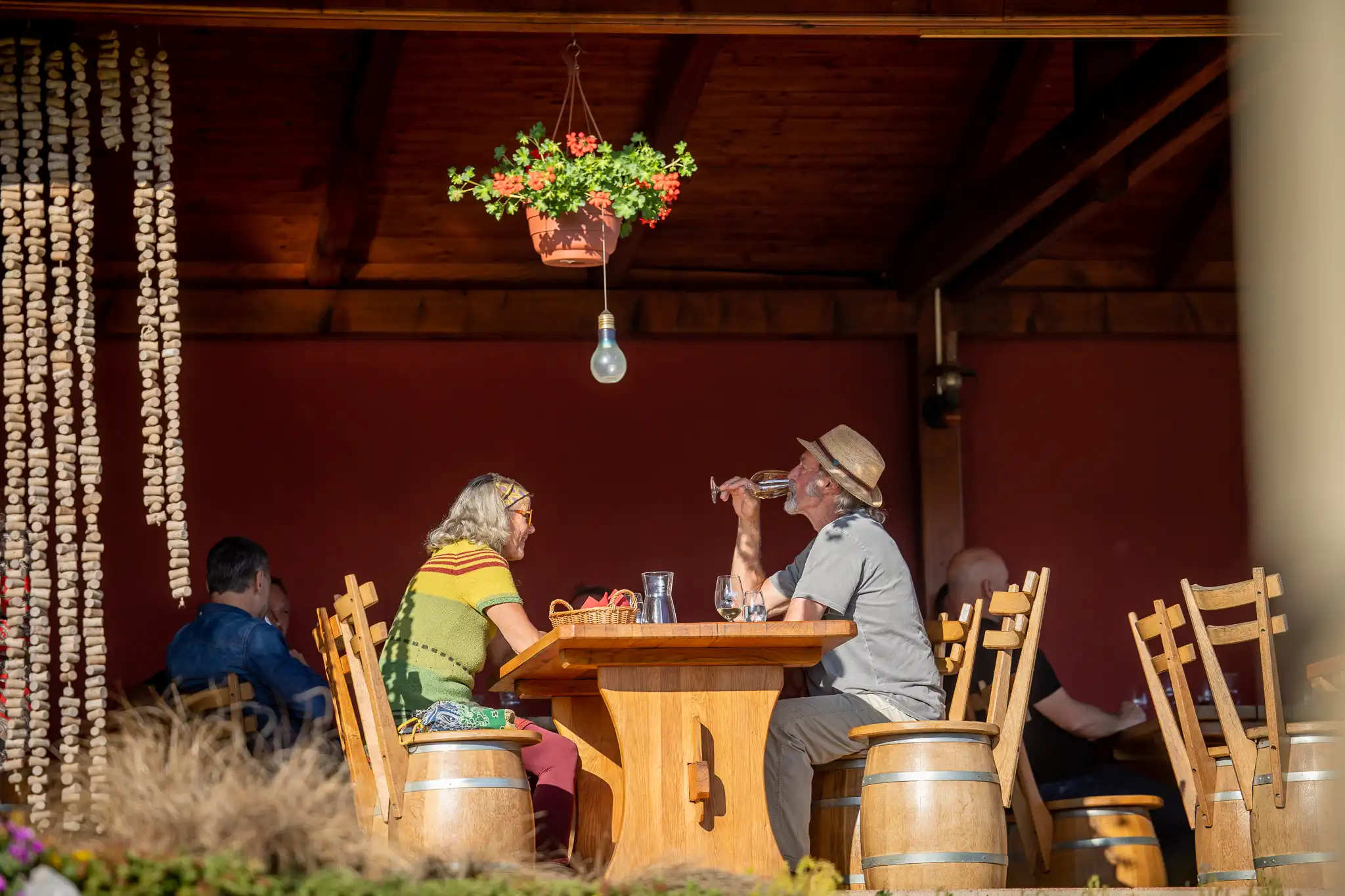 Otvoreni podrumi urbanovo 2024 (38) Otvoreni podrumi urbanovo 2024 (38)