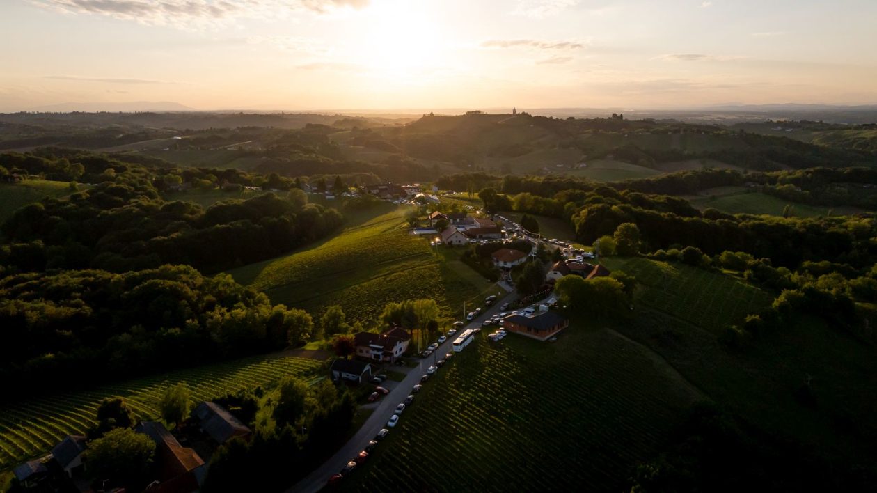 Otvoreni podrumi urbanovo (7)