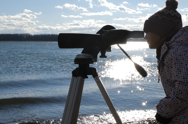 P1172586.MOV.18_26_09_03.Still001