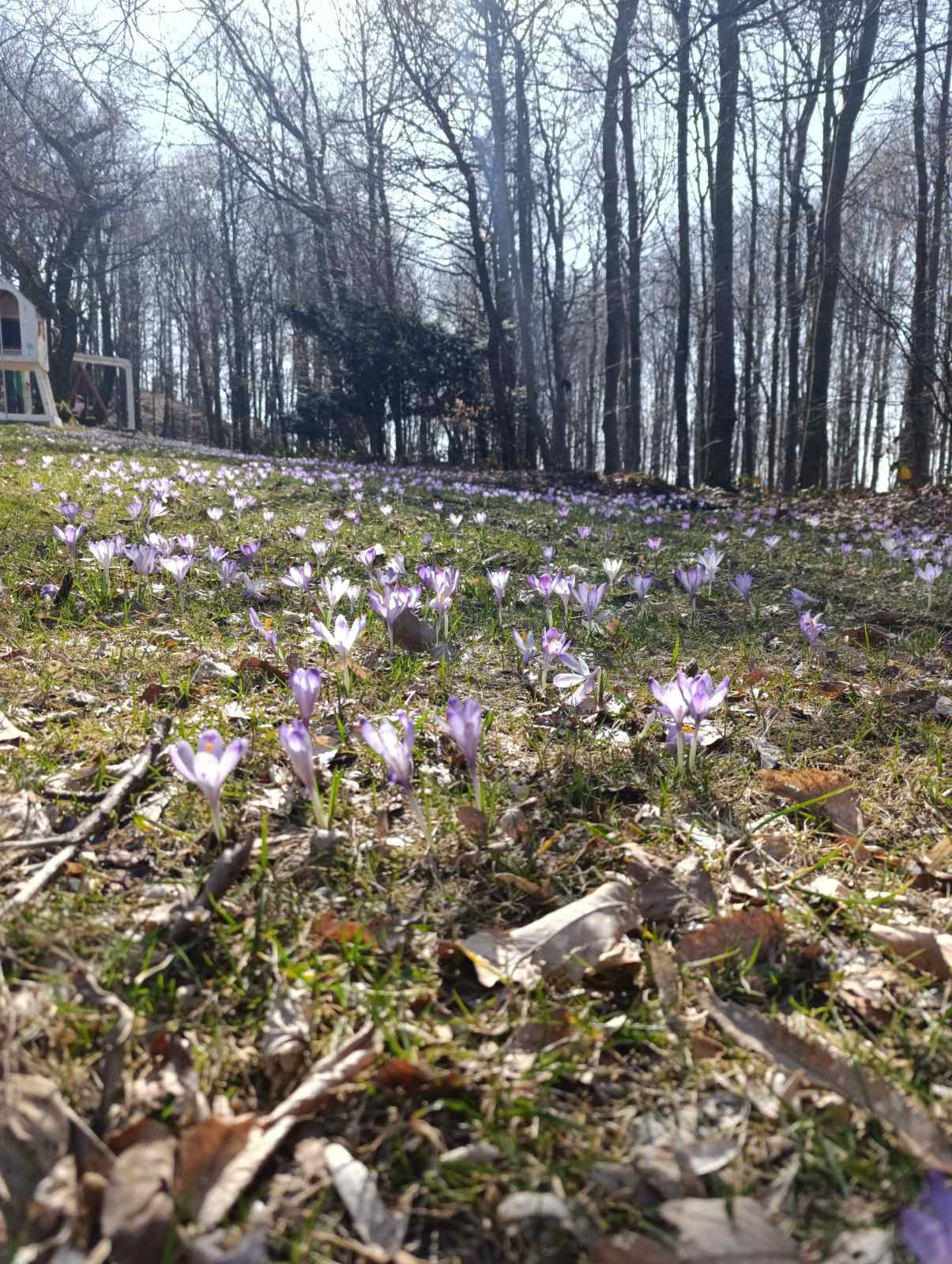 PD Bundek – OŠ Belica (10) PD Bundek – OŠ Belica (10)