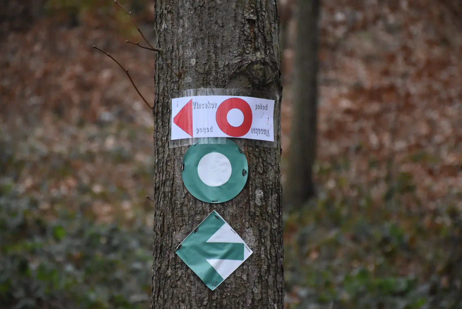 PD Bundek, Vincekov pohod 2025, Sveti Martin, Mursko Središće (26) PD Bundek, Vincekov pohod 2025, Sveti Martin, Mursko Središće (26)