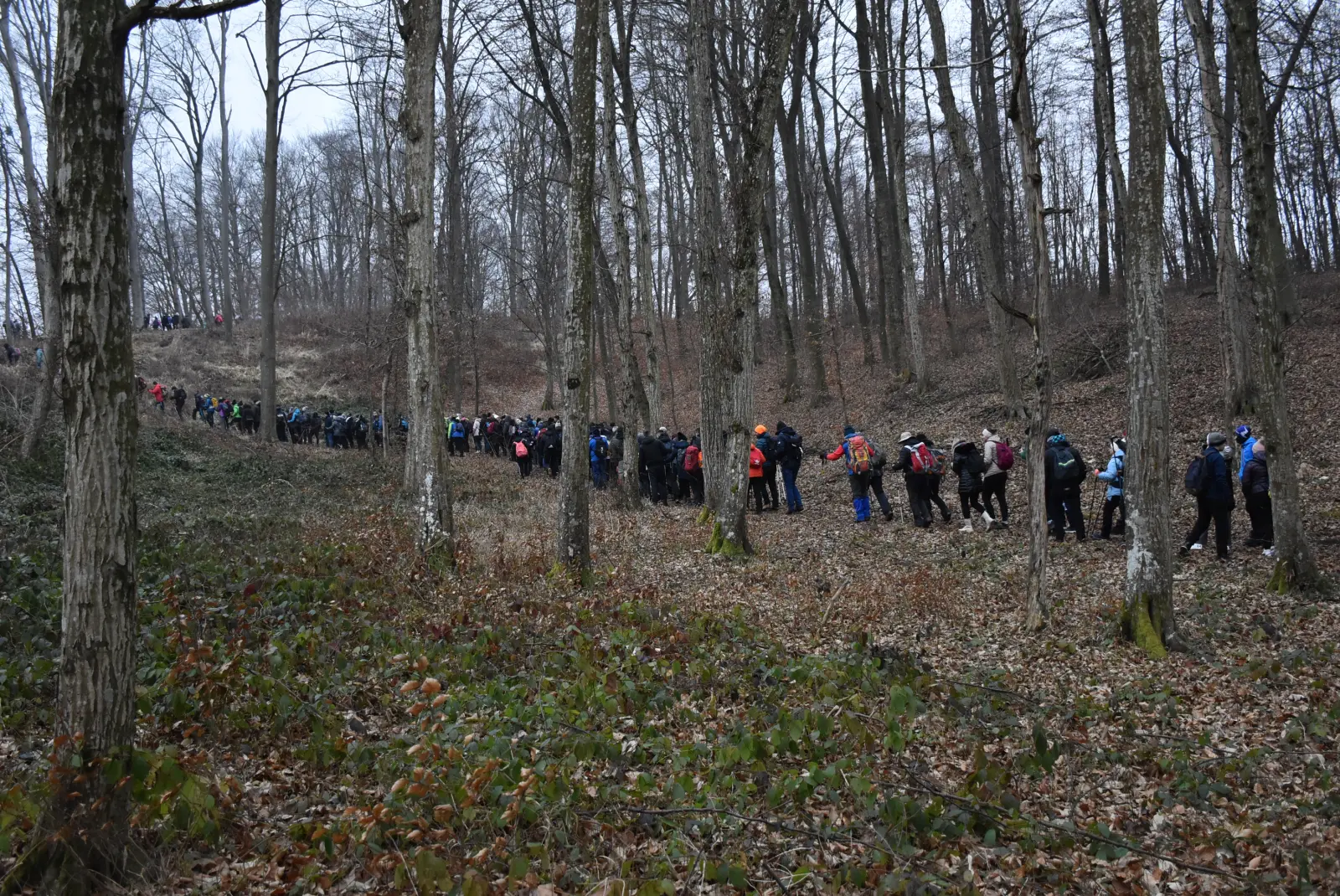 PD Bundek, Vincekov pohod 2025, Sveti Martin, Mursko Središće (46) PD Bundek, Vincekov pohod 2025, Sveti Martin, Mursko Središće (46)