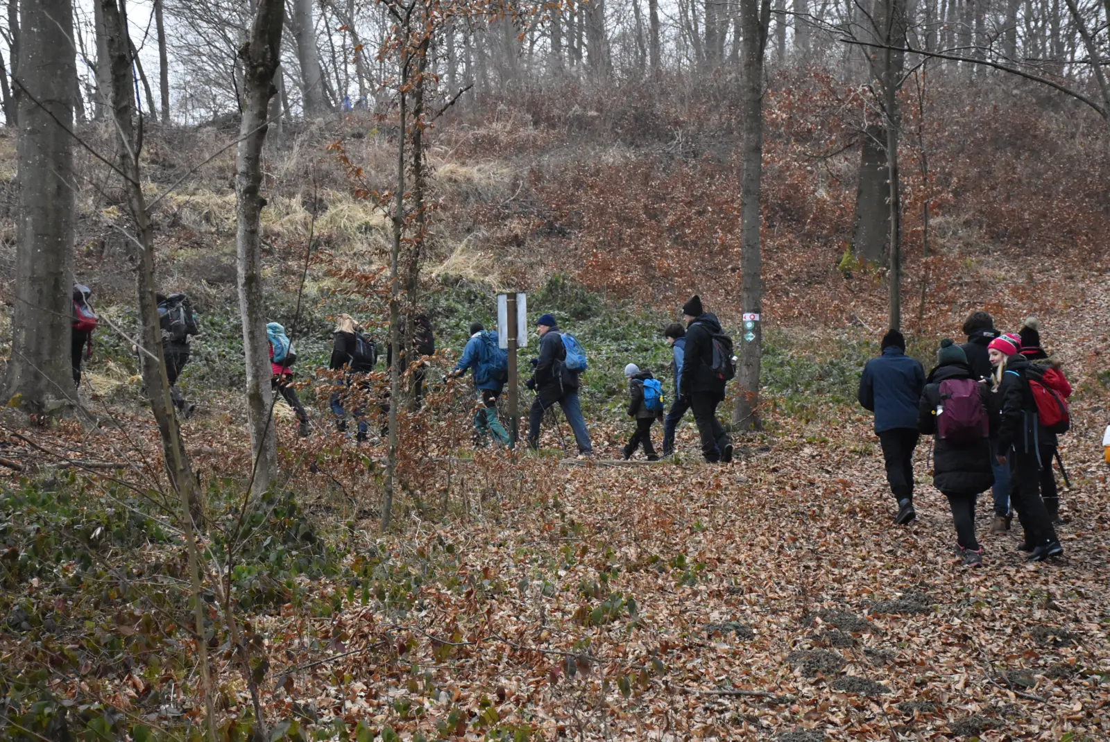 PD Bundek, Vincekov pohod 2025, Sveti Martin, Mursko Središće (6) PD Bundek, Vincekov pohod 2025, Sveti Martin, Mursko Središće (6)