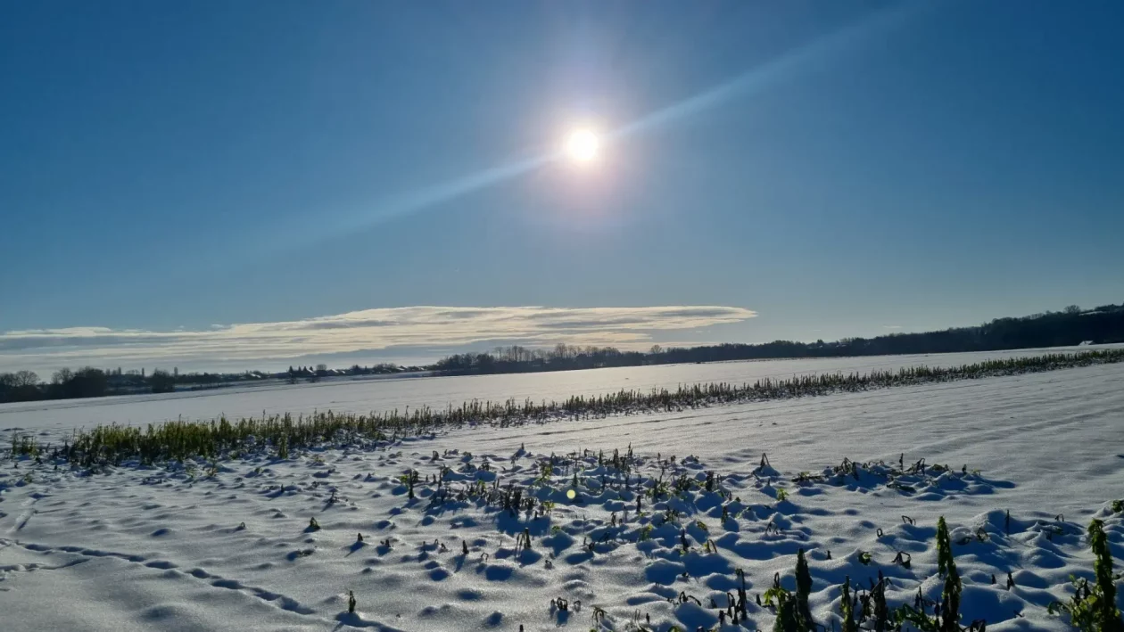 PD Bundek pripreme staze za Vickekov pohod (11) PD Bundek pripreme staze za Vickekov pohod (11)