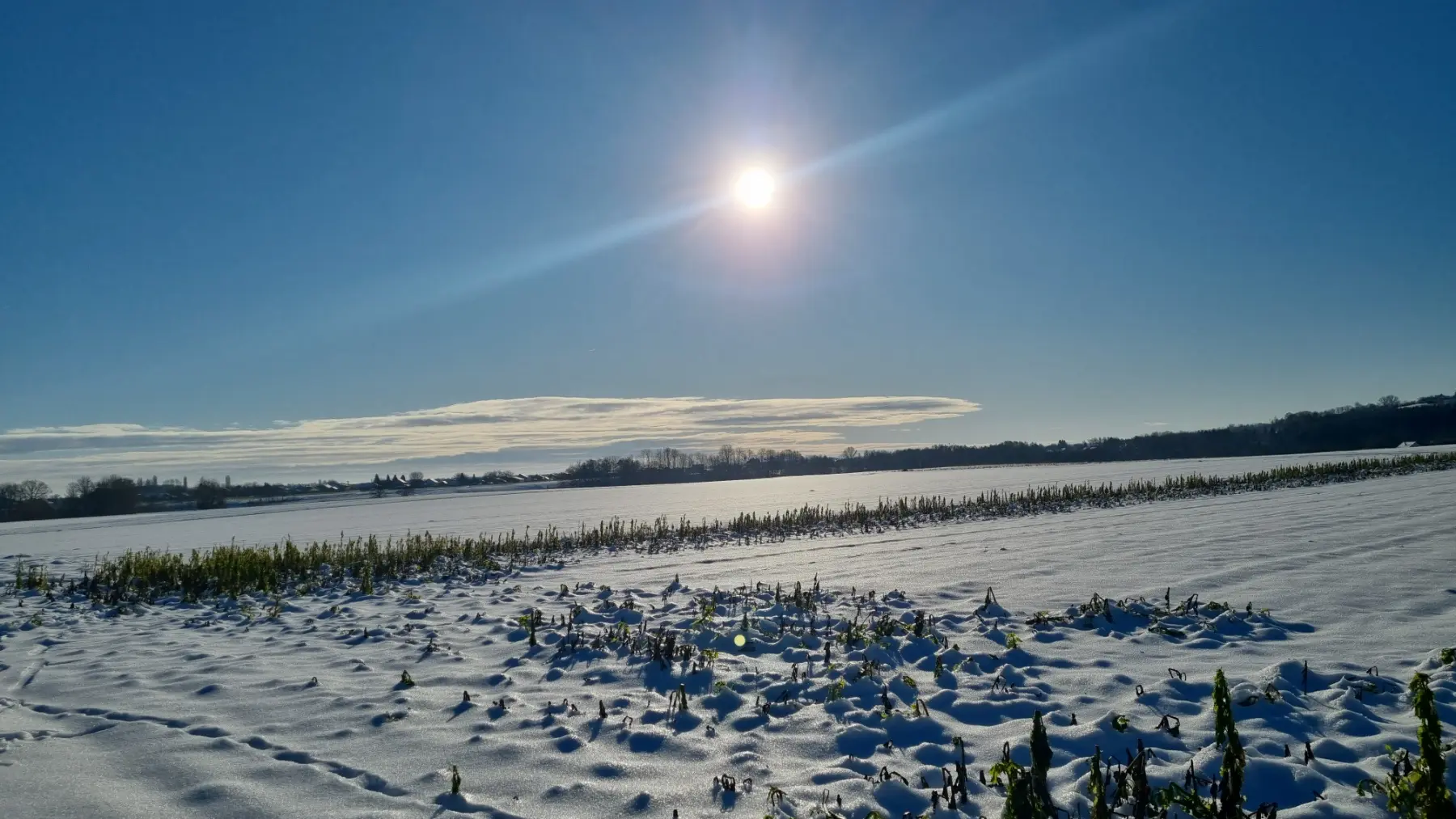 PD Bundek pripreme staze za Vickekov pohod (11)