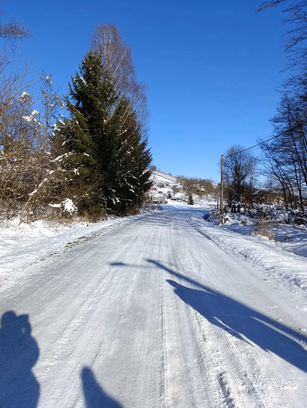 PD Bundek pripreme staze za Vickekov pohod (13)