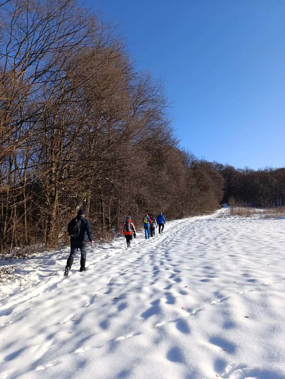 PD Bundek pripreme staze za Vickekov pohod (2)