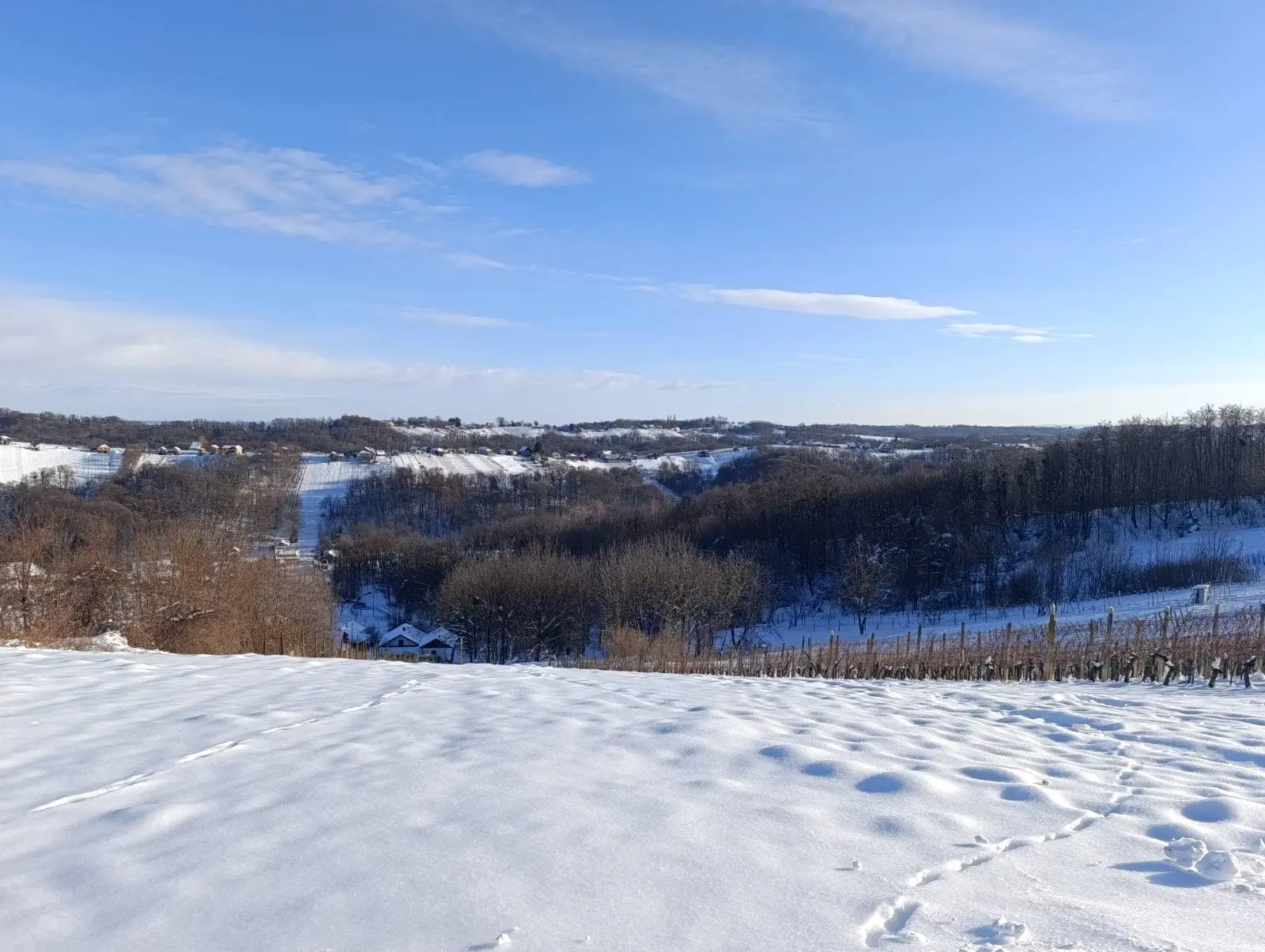 PD Bundek pripreme staze za Vickekov pohod (5)