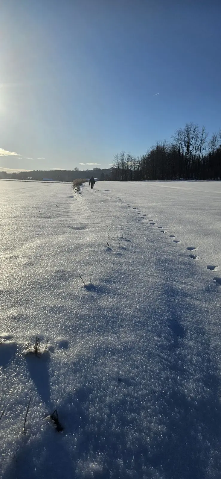 PD Bundek pripreme staze za Vickekov pohod (9)