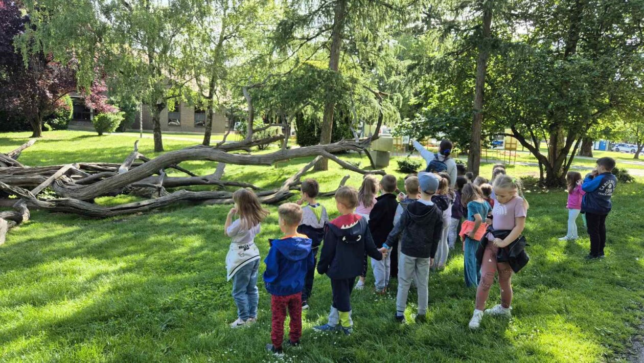 PERIVOJ ZRINSKI Djeca otkrivala skrivene stanovnike čakovečkog parka (2)