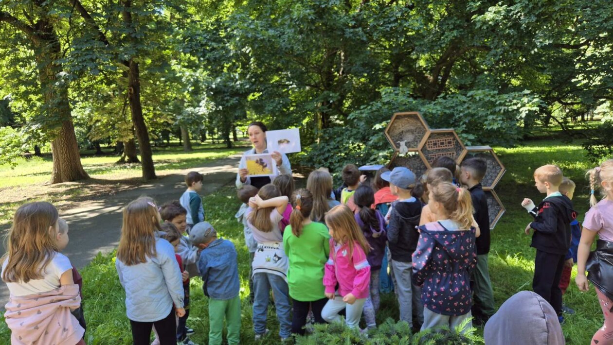 PERIVOJ ZRINSKI Djeca otkrivala skrivene stanovnike čakovečkog parka (5)