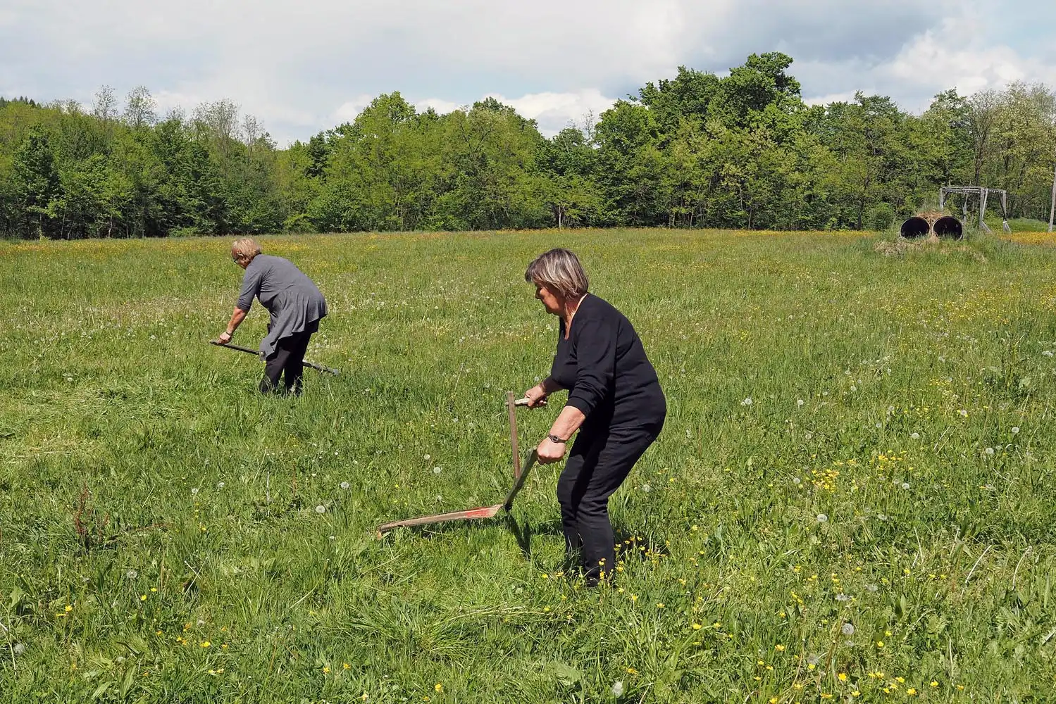PG Geler (1) kosa košnja