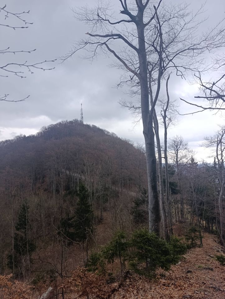 PLANINARSKA AVANTURA Bundeki vlakom do Laškog pa na uspon prema Šmohoru i Maliču (10)