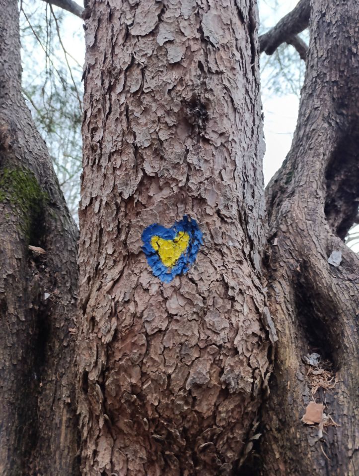 PLANINARSKA AVANTURA Bundeki vlakom do Laškog pa na uspon prema Šmohoru i Maliču (17)