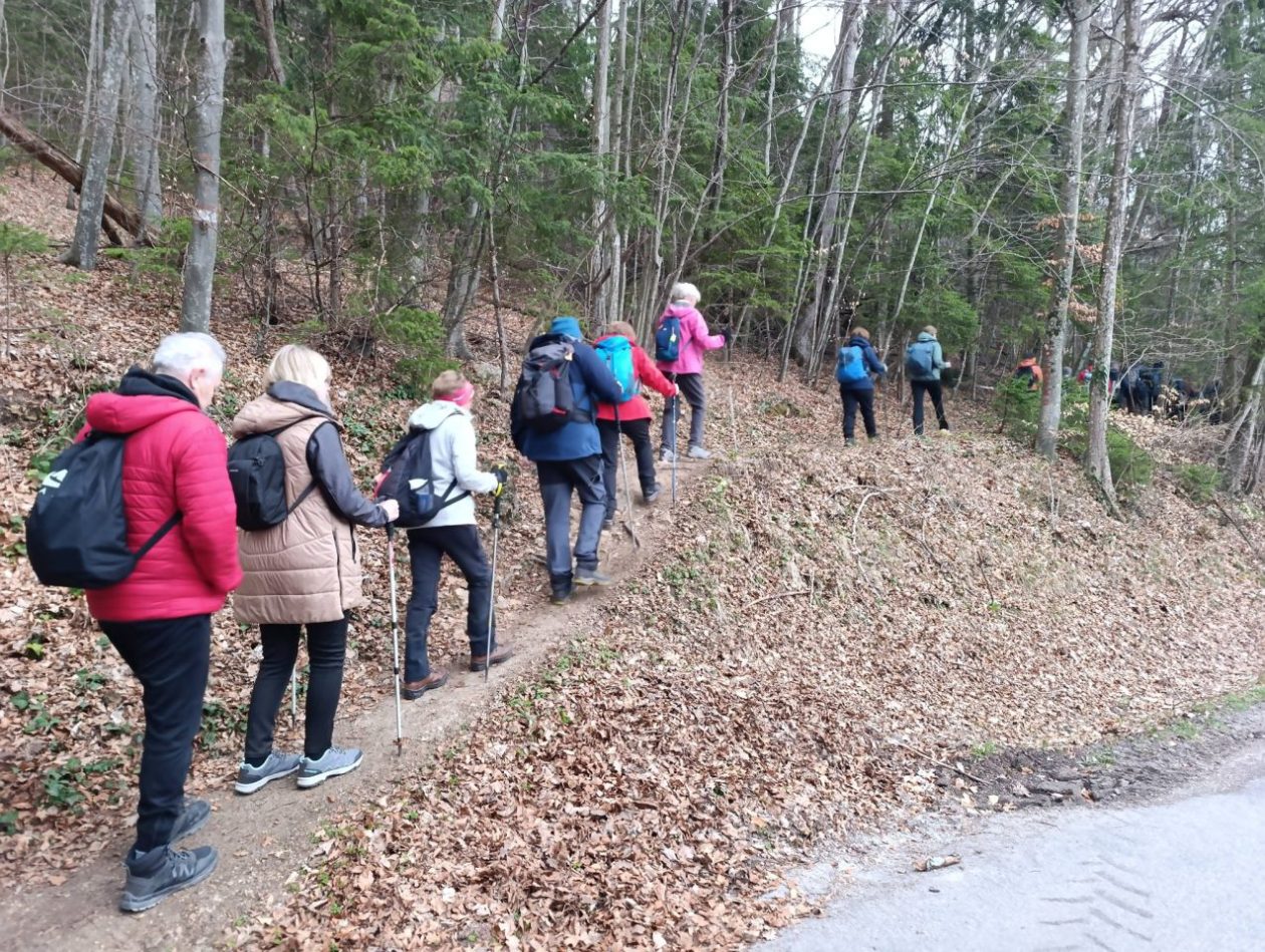 PLANINARSKA AVANTURA Bundeki vlakom do Laškog pa na uspon prema Šmohoru i Maliču (18)
