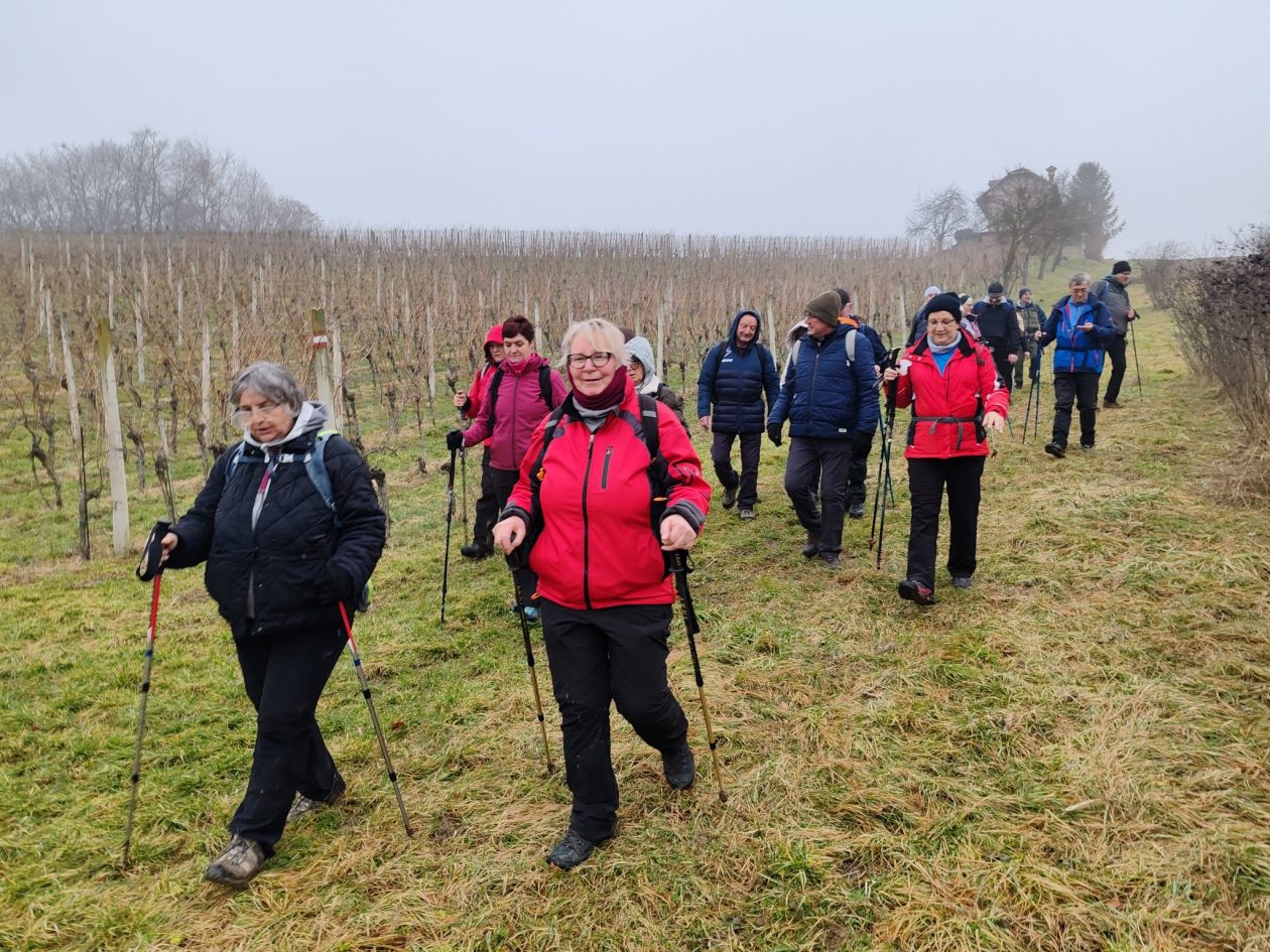 PLANINARSKI IZLET HPD ‘Međimurje’ prohodao Štrigovsku kružnu stazu (16)