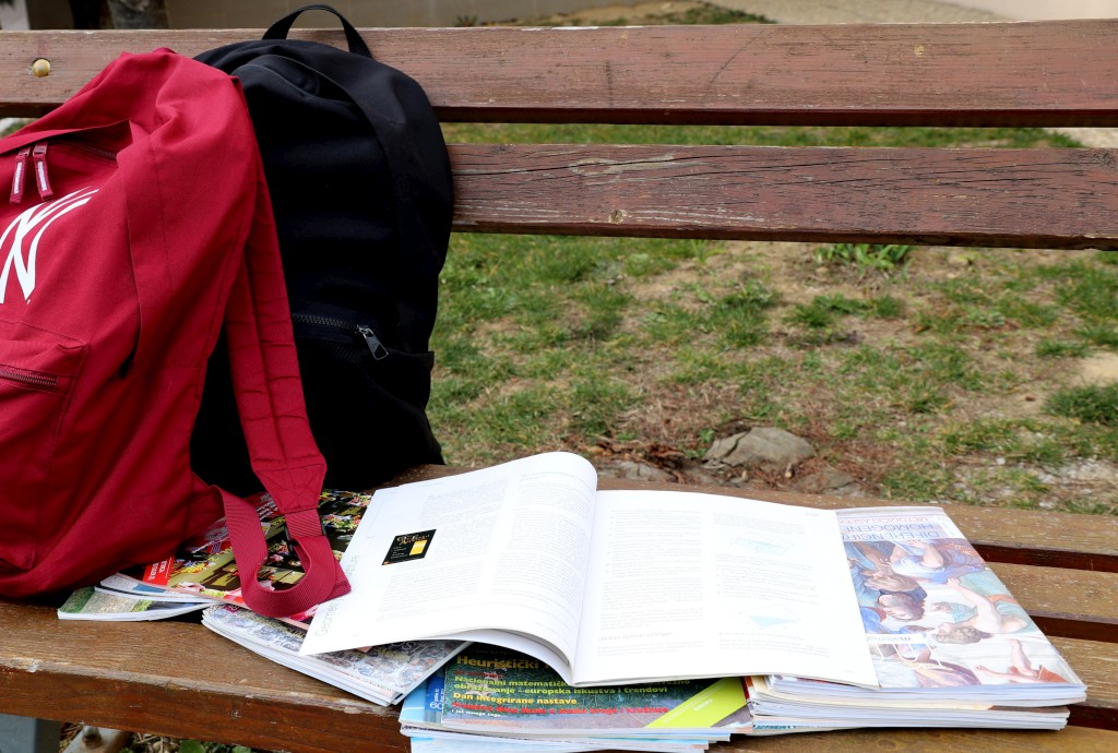 PLEŠKOVEC Matematička lektira za učenike šestih razreda (11)