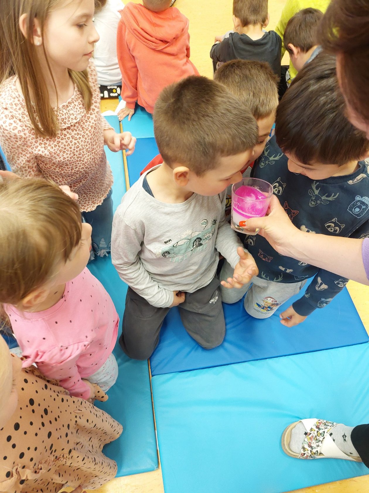 PO Stonoga DV Cvrčak (7)