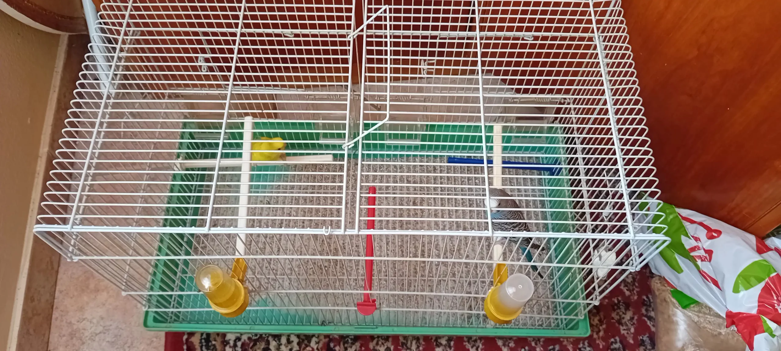 POKLON ZA PAMĆENJE Papige Đuro i Đurđa prate župnog vikara Andriju Botkovića na putu prema Đurđevcu (1)